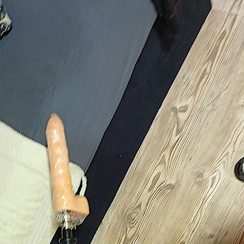 mundorgel