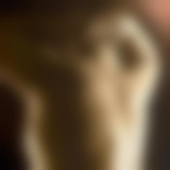 Capricorn_72
