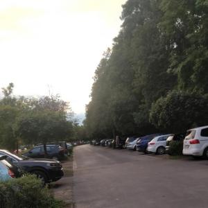 Rotter See Spielplatz/Wald