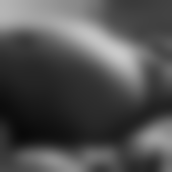 DickDev1975NRW