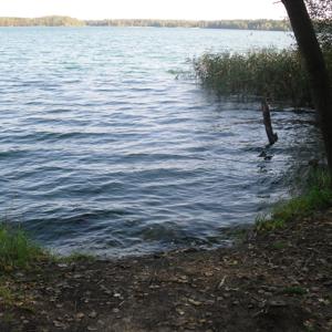 FKK am Niemtscher Strand (Senftenberger See)