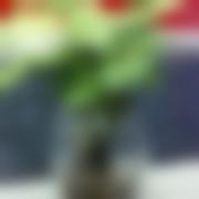 premiumaccount