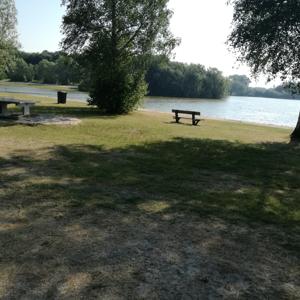 Sander See