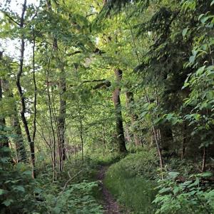 Outdoor in Thüringen 