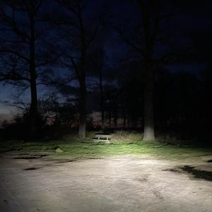 Kleiner Wald in der Nähe vom Wasserturm Lippstadt