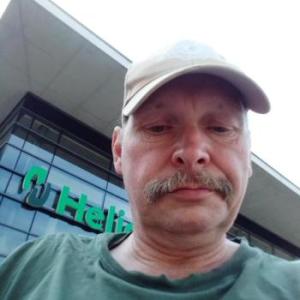 Grauer_Wolf67