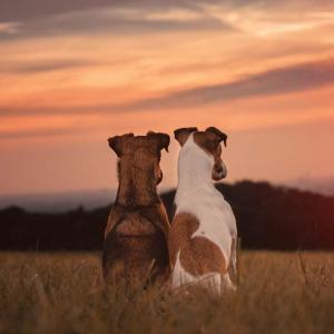 GEMEINSAM statt einsam...