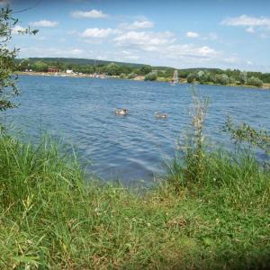 Erlensee