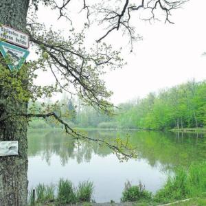 Hölzersee bei Magstadt