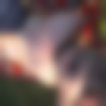 Sklave_MV18