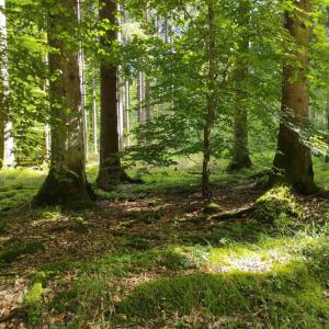 Outdoor im Vogtland