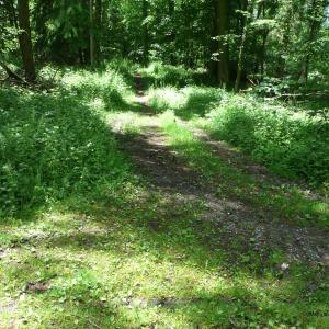 Wanderparkplatz Horach/Ailingen