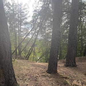 FKK Baggersee