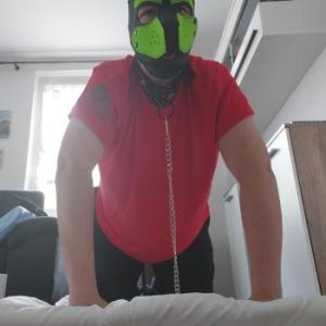 Dickernerd