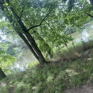 Lahnteich