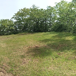 Wickerbachaue..............50.002372, 8.394841