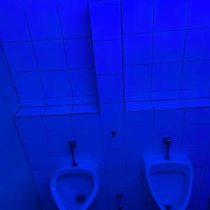 Öffentlicher Toilette Godesberg