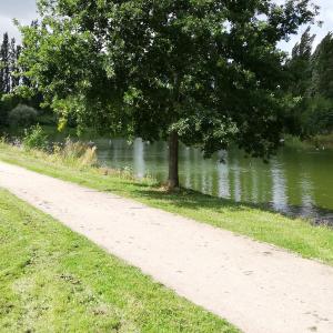 Park am Fischerdorf
