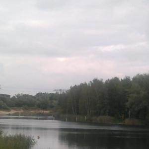 Grüner See Regattasee Zchornewitz