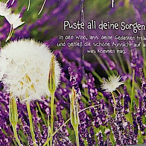 schönestreiben