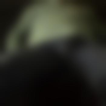 Geiler6