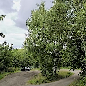 L239 Suderode —> Friedrichsbrunn