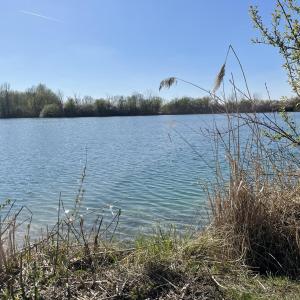 Marzlinger Weiher