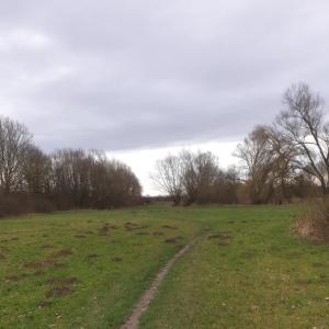 Wiese gegenüber der staumauer am Lippesee