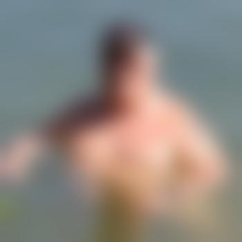 Bipainter