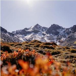 Gays Vorarlberg
