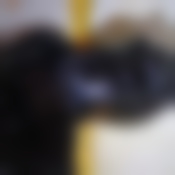 Hotledergay
