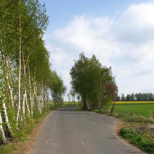 Straße zum Steinbruch Oberschöna