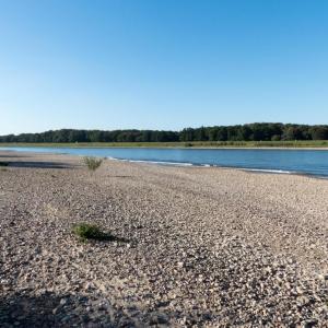 Uedesheimer Rheinbogen