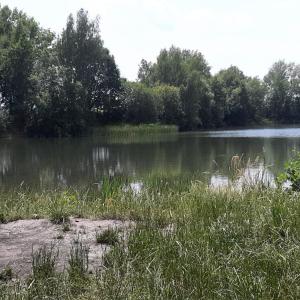 Alte Torfgrube Mittweida