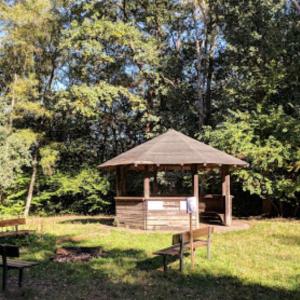 Aussichtsturm Steigenberg Neuenkirchen