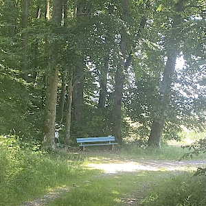 Großer Wald