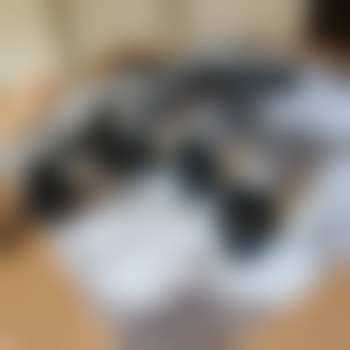 HandundFusselfesse59