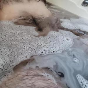 HairyBear