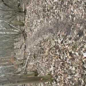 Volksbad / Stadion  Görlitz Weinhübel